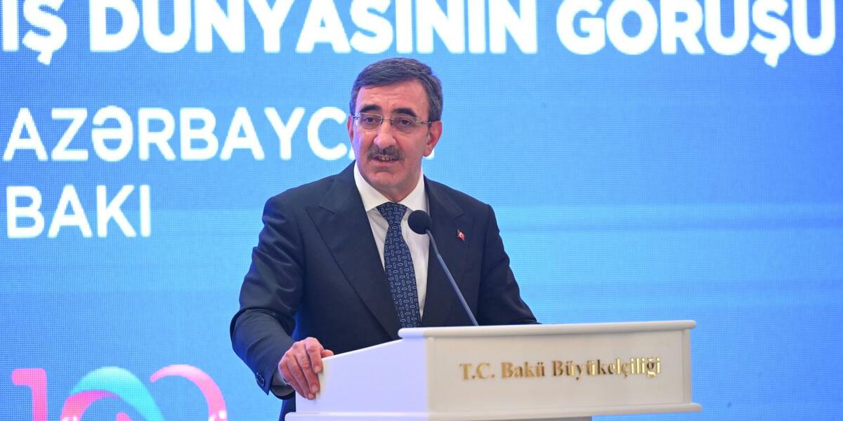 Азербайджано-турецкое экономическое взаимодействие: итоги года подведенные Джевдетом Йылмазом