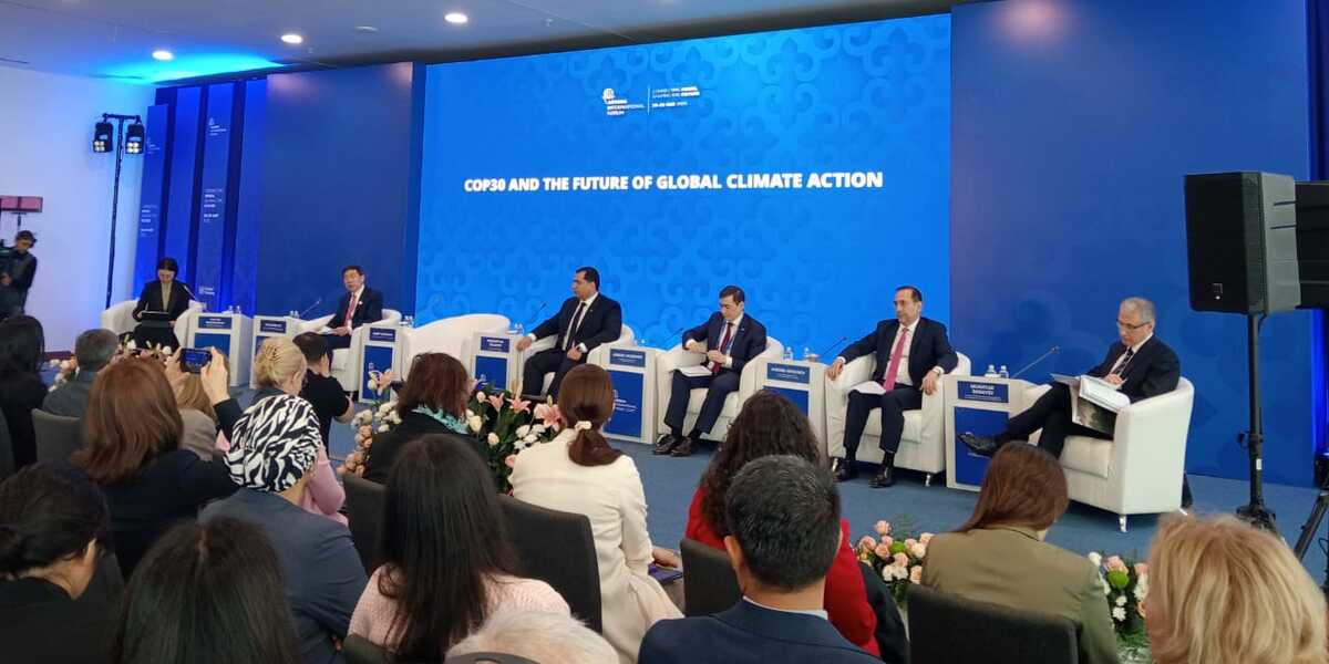 Азербайджан усиливает климатическую повестку в пост-COP29 период